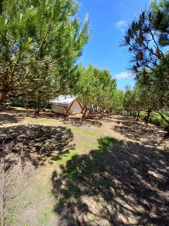 Kabaceira Glamping Hotel Atalaia  Buitenkant foto