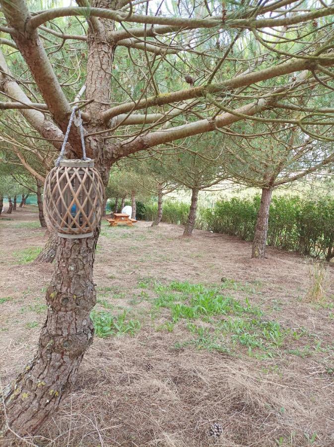 Kabaceira Glamping Hotel Atalaia  Kamer foto
