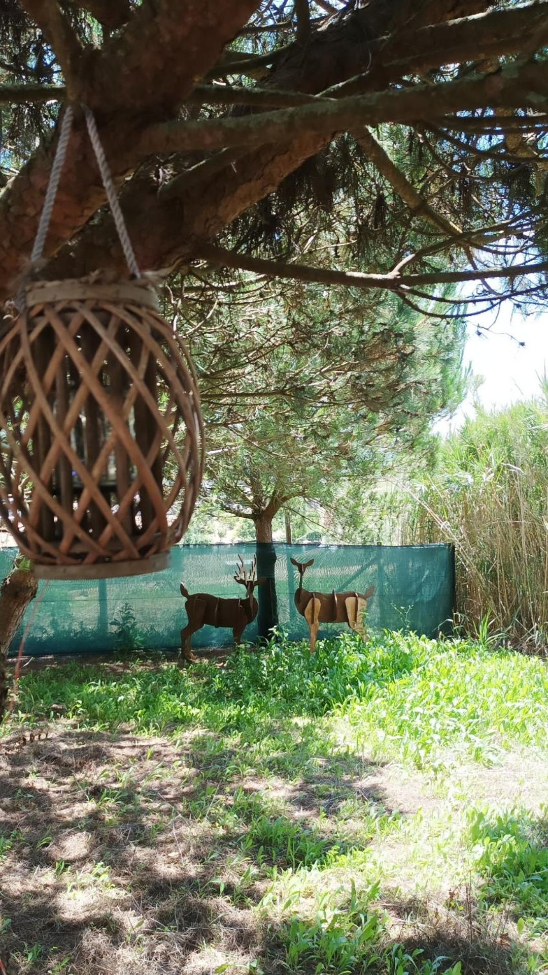 Kabaceira Glamping Hotel Atalaia  Kamer foto